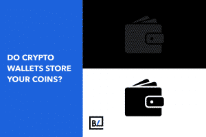 BaseLynk - Do Crypto Wallets Store Your Coins?